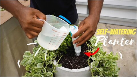 How a Make a simple self-watering planter