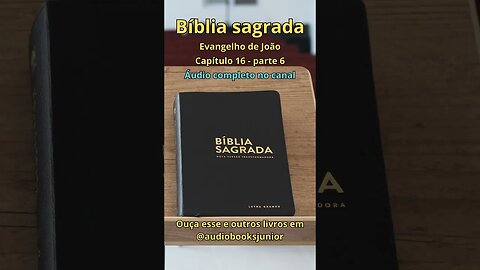 Bíblia Sagrada - Evangelho de João - Capítulo 16 - Parte 6