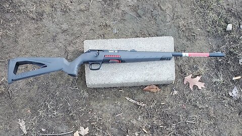 Winchester Xpert 22lr Rifle First Shots.