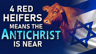 4 Red Heifers Means the Antichrist is Near 03/26/2024