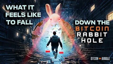 What it Feels Like to Fall Down the Bitcoin Rabbit Hole
