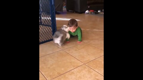 The cute puppy whispers to the little boy a special secret🤭🤭.