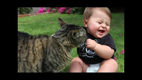 Funny Babies Laughing Hysterically at Cats Compilation