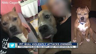 Dog stabbed to death after attacking family