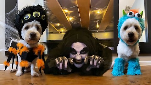 Monster plays a trick on my dog!!! 🐶🧟‍♀️