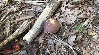 Handling obstacles on hiking trails