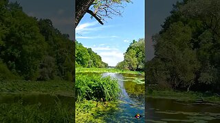 Snagov forest ride - Lake view | Techno music | 4k Virtual Tour | #shorts