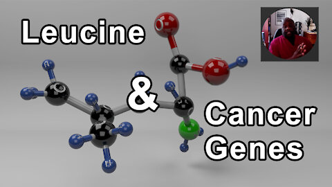 Plant Foods Have Enough Leucine To Keep Us Healthy, Bu Not Enough To Turn On Cancer Genes - Milton