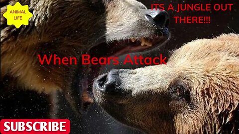 "Intense Encounters: #Bears on the #Attack - Real-Life Stories and Survival Tips"