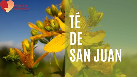 Té de San Juan | Mujeres en Menopausia