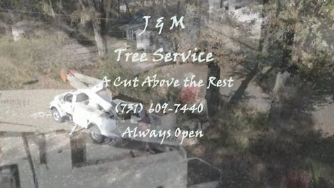 J & M Tree Service - Whiteville, TN