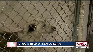 SPCA in need of new building