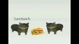 sandwich