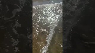 ocean video