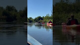 Kayaking up the coldwater river and back down into the lake.