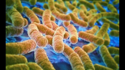 The Incredibly Dangerous Power of Bacteria to Resist Antibiotics