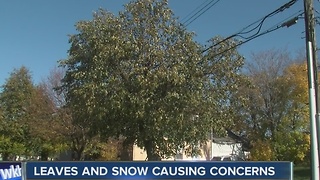 Leaves, snow and the power company concerns