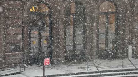 Neve cai durante dia quente de verão em Nova Iorque