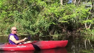 Cypress trees are part of beauty of Riverbend Park.