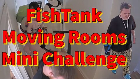 FishTank Moving Rooms Mini Challenge