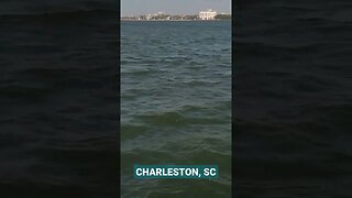 Charleston Harbor Morning Cruise