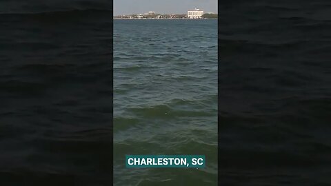 Charleston Harbor Morning Cruise