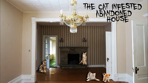 THE ABANDONED CAT INFESTED HOUSE - GOLD CHANDELIER AND FIREPLACE!