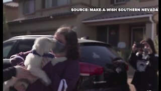 Make-a-Wish gifts puppy to Las Vegas girl