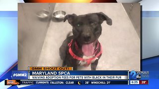 Good morning from the Maryland SPCA!