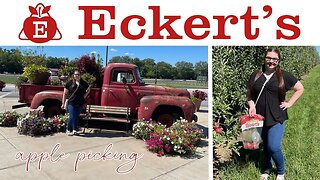 Fall Apple Picking!