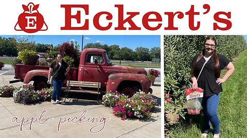 Fall Apple Picking!