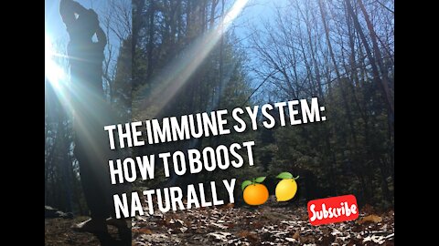 The IMMUNE SYSTEM: How to Boost Naturally🍊🍋