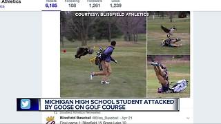 Photos of high school golfer being attacked by goose go viral