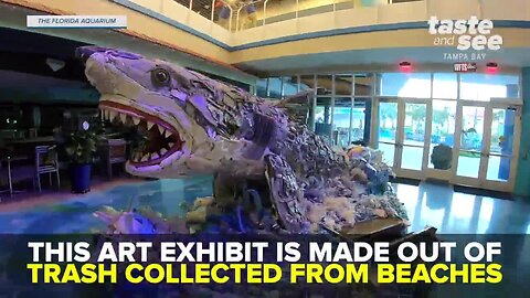 This art exhibit at the Florida Aquarium is made out of trash collected from beaches | Taste and See Tampa Bay