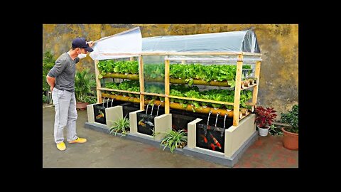 Farmer Taught How To Diy Aquarium And Greenhouse To Grow Aquatic Vegetables