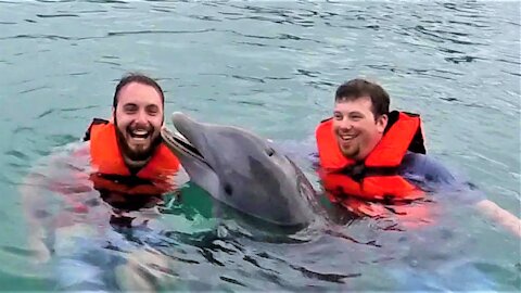 Affectionate dolphin has heartwarming interaction with young swimmer