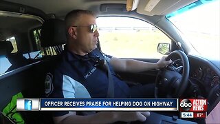 Dash cam captures police officer rescuing dog hit by car on I-275