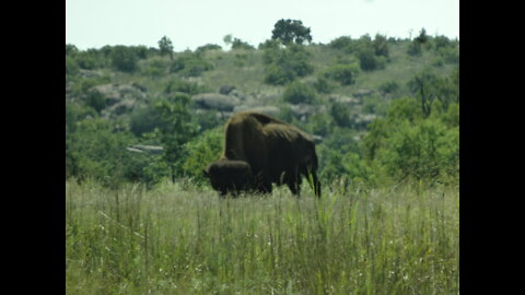 Oklahoma Living EP22: Back to Wichita Mountains