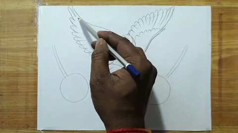 how to draw a pigeon and rose flowers with pencil sketch