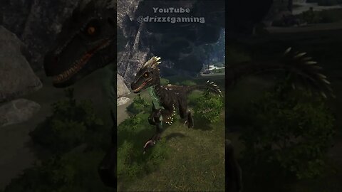 Gigantoraptor w rzeczywistości! ARK: Survival Ascended #shorts