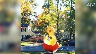 Pumpkin Destruction