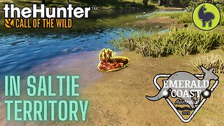 In Saltie Territory, Emerald Coast | theHunter: Call of the Wild (PS5 4K 60FPS)