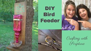 DIY Bird Feeder