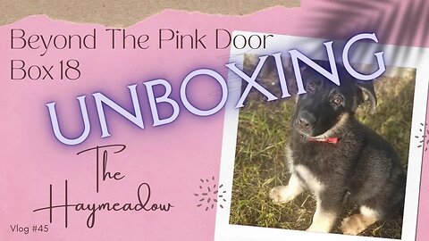 Beyond The Pink Door – Think Pink Sewscription Box No. 18 | Unboxing | Aussie Sewing Vlog | #45
