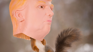 Trump the squirrel