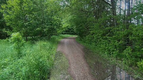 Rain on a gravel path on a windy day in southern Sweden