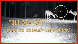 Humans from an animals view point