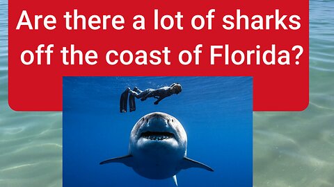 Are there a lot of sharks off the coast of Florida?
