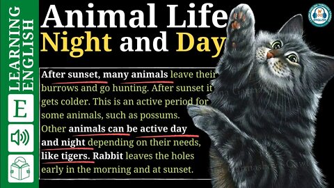 learn english through stories beginner level 🍁 Animal Life - Night and Day