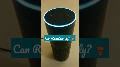 Can Reindeer fly? 🦌 - answered by Alexa